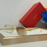 Cartier Sunglasses AAA (1674)