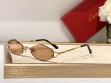 Cartier Sunglasses AAA (3137)