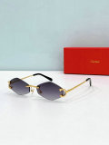 Cartier Sunglasses AAA (1586)
