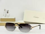 Cartier Sunglasses AAA (3652)