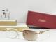 Cartier Sunglasses AAA (3852)