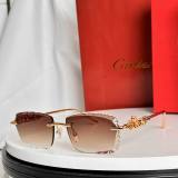 Cartier Sunglasses AAA (1841)