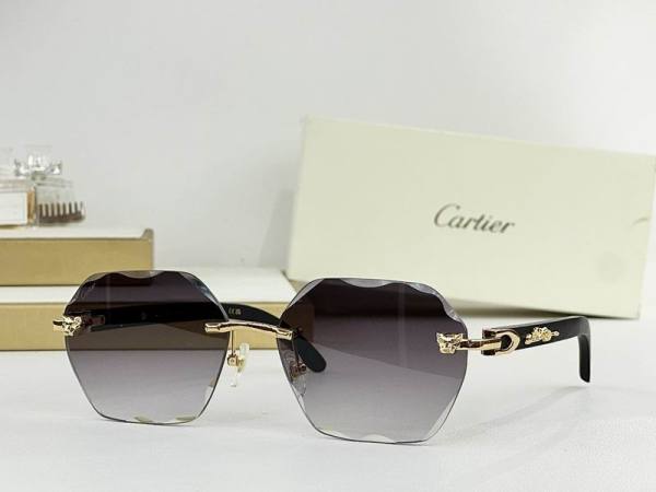 Cartier Sunglasses AAA (2196)