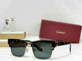 Cartier Sunglasses AAA (667)