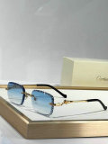 Cartier Sunglasses AAA (781)