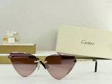 Cartier Sunglasses AAA (107)