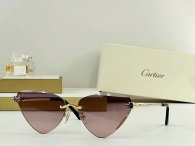 Cartier Sunglasses AAA (107)