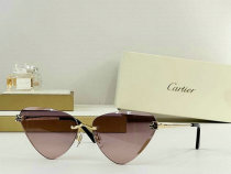 Cartier Sunglasses AAA (107) Cartier Sunglasses AAA (107)