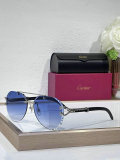 Cartier Sunglasses AAA (598)