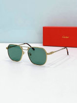 Cartier Sunglasses AAA (575) Cartier Sunglasses AAA (575)