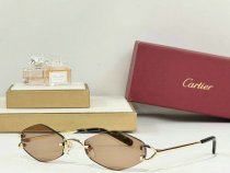 Cartier Sunglasses AAA (465)