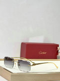 Cartier Sunglasses AAA (1110)