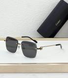 Cartier Sunglasses AAA (1933)