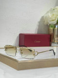 Cartier Sunglasses AAA (398)