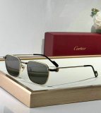 Cartier Sunglasses AAA (503)