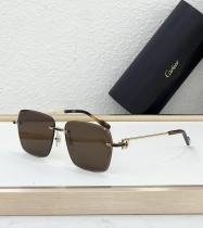 Cartier Sunglasses AAA (1934)