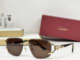 Cartier Sunglasses AAA (2482)