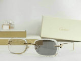 Cartier Sunglasses AAA (474)