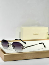 Cartier Sunglasses AAA (1043) Cartier Sunglasses AAA (1043)
