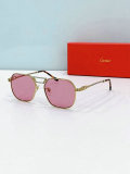 Cartier Sunglasses AAA (573)