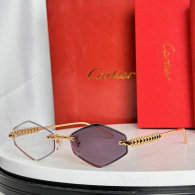 Cartier Sunglasses AAA (301)