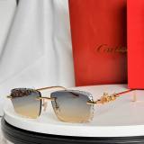 Cartier Sunglasses AAA (1845)
