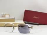 Cartier Sunglasses AAA (2389)