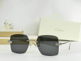 Cartier Sunglasses AAA (508)
