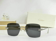 Cartier Sunglasses AAA (508)