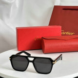 Cartier Sunglasses AAA (1325)