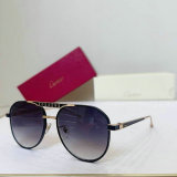 Cartier Sunglasses AAA (1744)