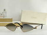 Cartier Sunglasses AAA (451)