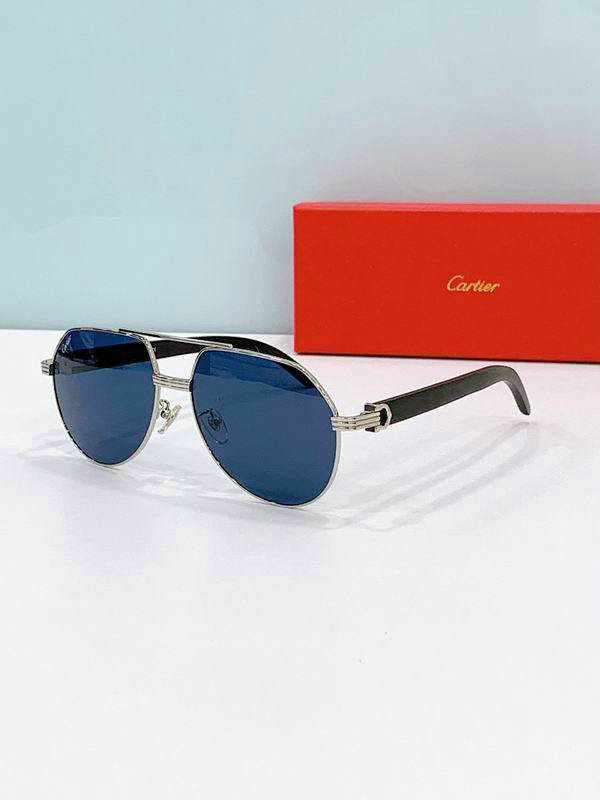 Cartier Sunglasses AAA (416)