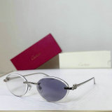 Cartier Sunglasses AAA (161)
