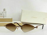 Cartier Sunglasses AAA (447)