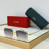 Cartier Sunglasses AAA (741)