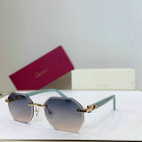 Cartier Sunglasses AAA (175)