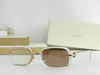 Cartier Sunglasses AAA (476)