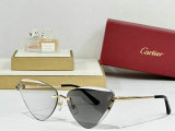 Cartier Sunglasses AAA (1135)