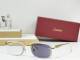 Cartier Sunglasses AAA (3853)