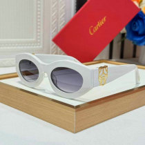 Cartier Sunglasses AAA (917) Cartier Sunglasses AAA (917)
