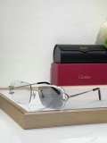 Cartier Sunglasses AAA (1253)