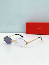 Cartier Sunglasses AAA (1464) Cartier Sunglasses AAA (1464)
