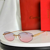 Cartier Sunglasses AAA (1696)