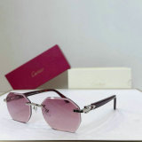 Cartier Sunglasses AAA (179)