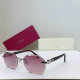 Cartier Sunglasses AAA (179)