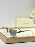 Cartier Sunglasses AAA (1495)