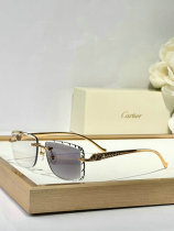 Cartier Sunglasses AAA (1495) Cartier Sunglasses AAA (1495)