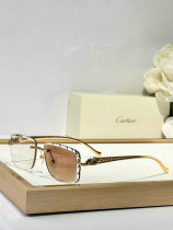 Cartier Sunglasses AAA (1494) Cartier Sunglasses AAA (1494)