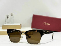 Cartier Sunglasses AAA (665) Cartier Sunglasses AAA (665)